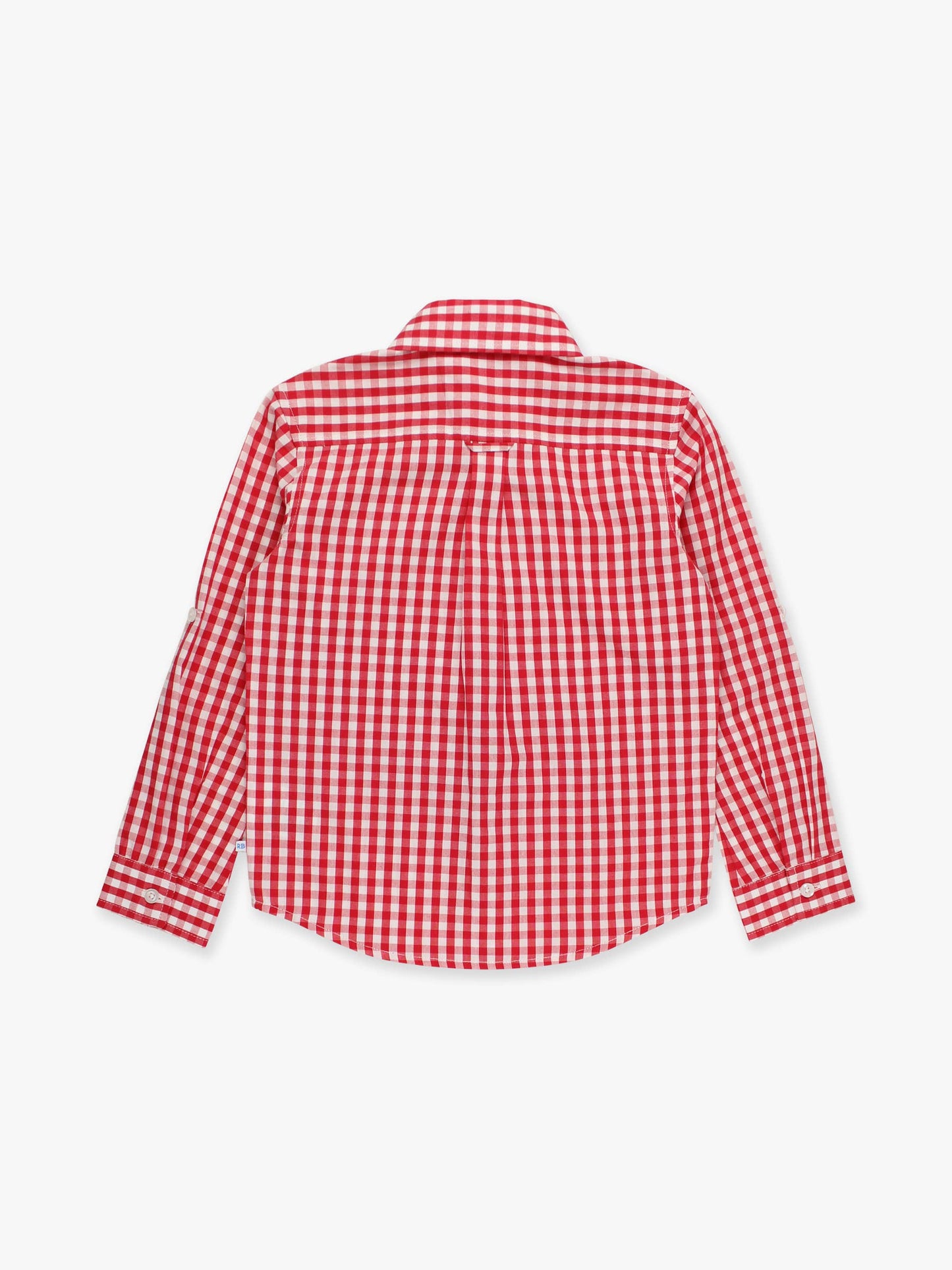 Boys Classic Red Gingham Long Sleeve Button Down: Red