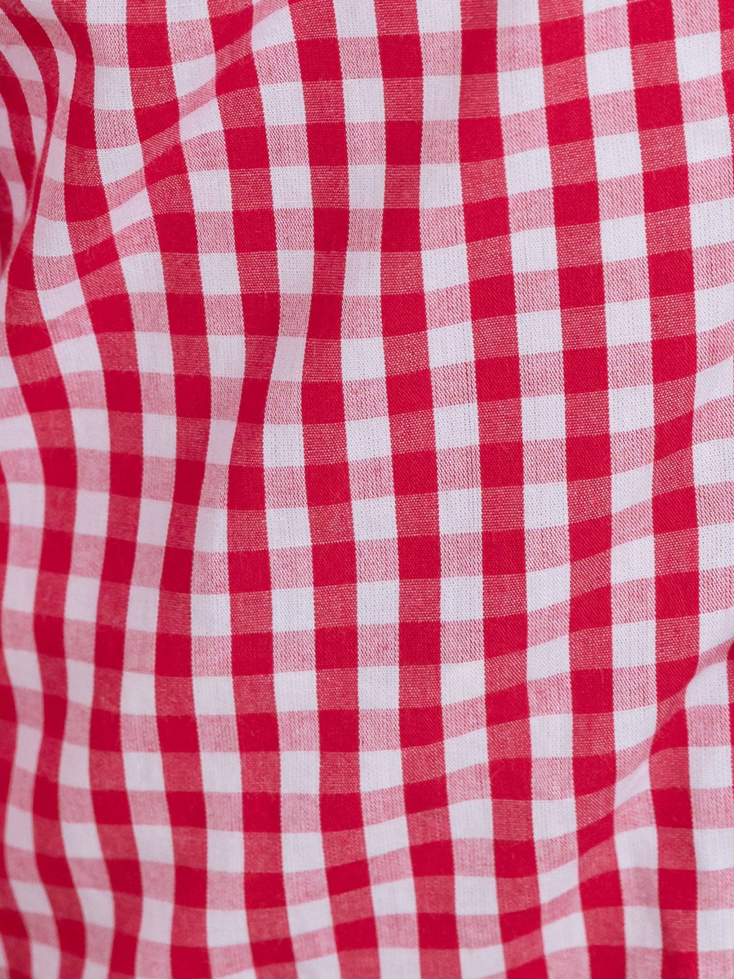 Boys Classic Red Gingham Long Sleeve Button Down: Red